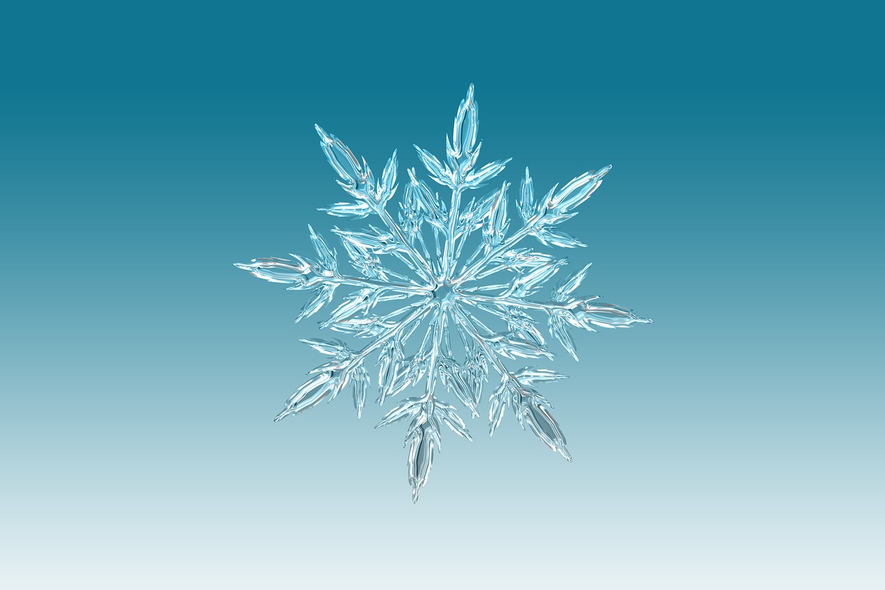 snow flake